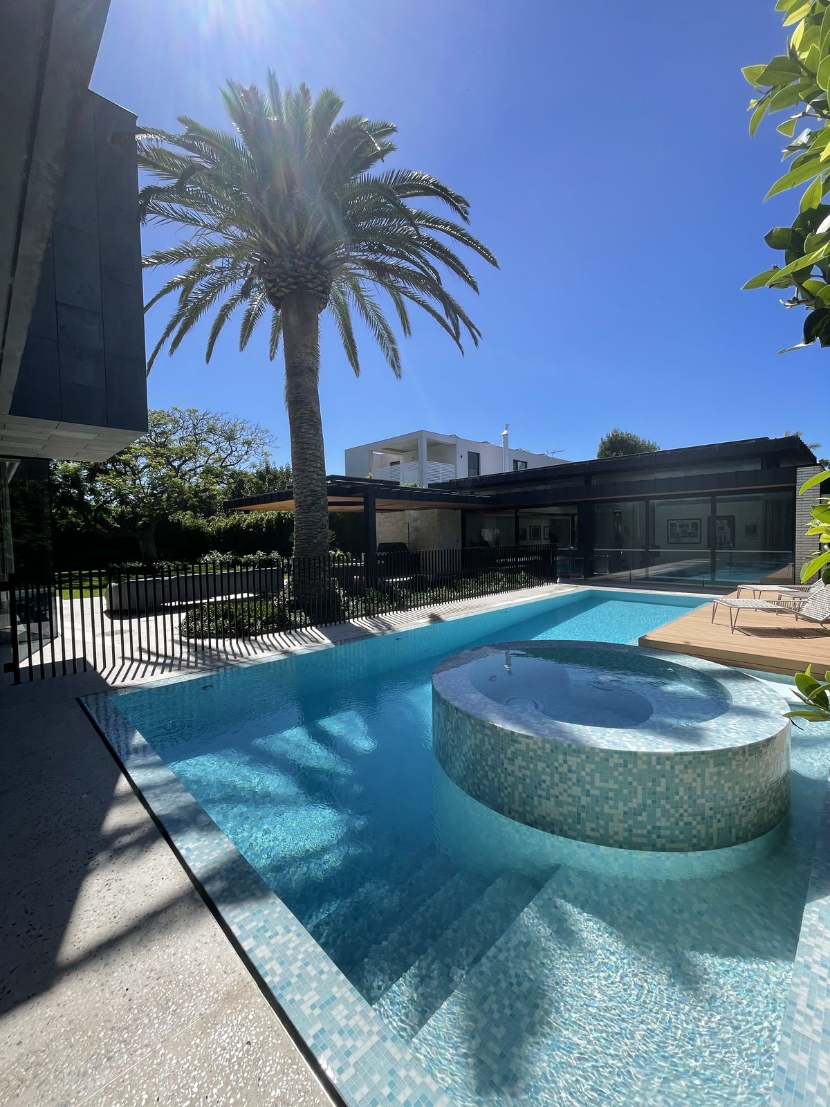 Frameless glass pool fence with a spa beside a palm tree